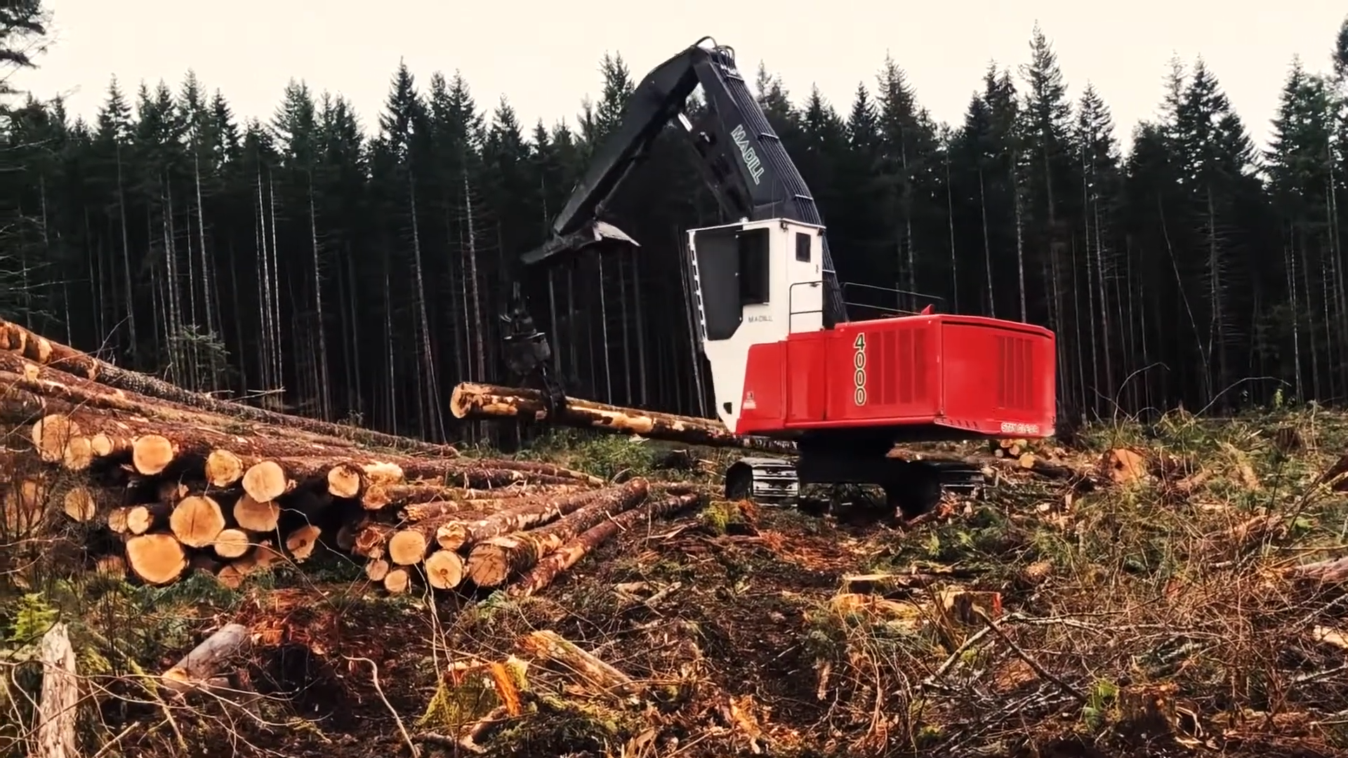 Madill 4000 Log Loader 00-00-14